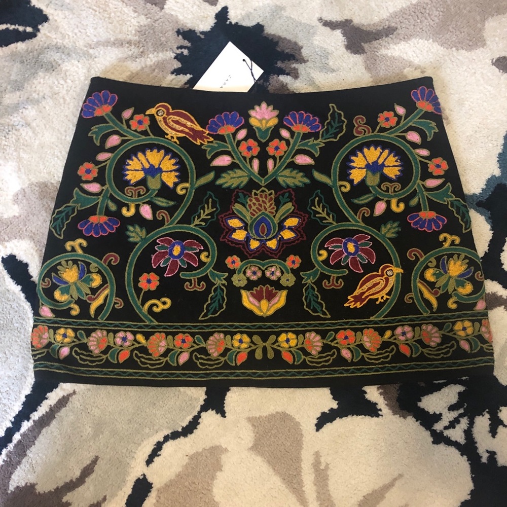 Zara embroidered skirt